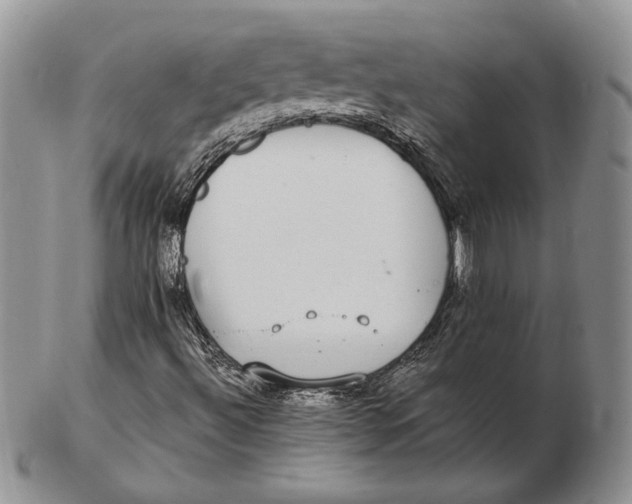 X0000102381492200808221750