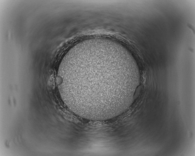 X0000102381493200808221750