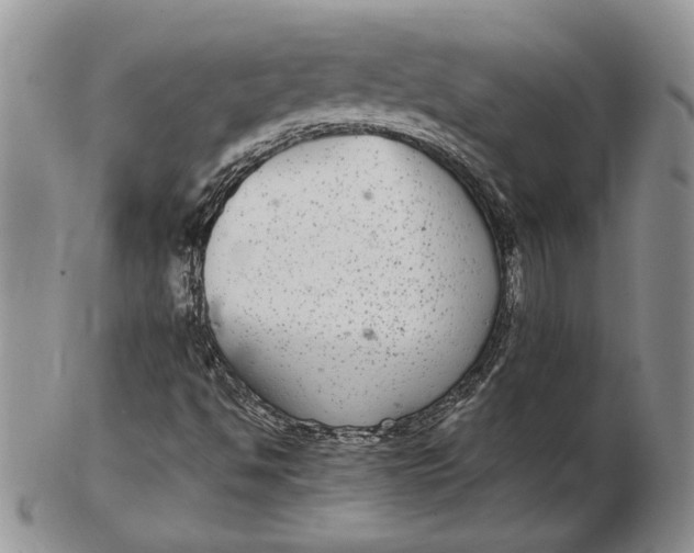 X0000102381494200808221750