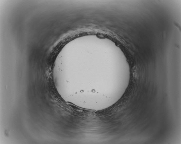 X0000102381495200808221750