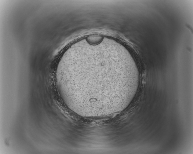 X0000102381496200808221750