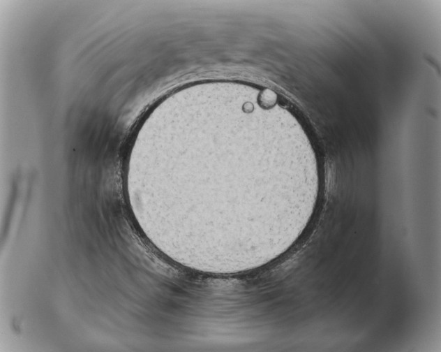 X0000102381498200808221750