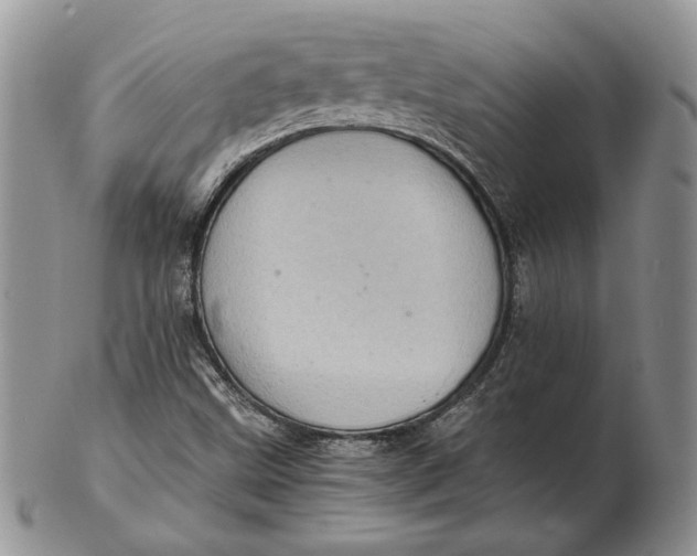 X0000102381499200808221750