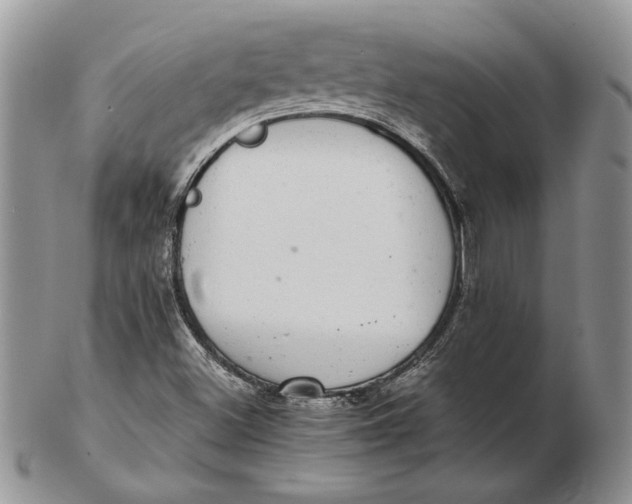 X0000102381500200808221750