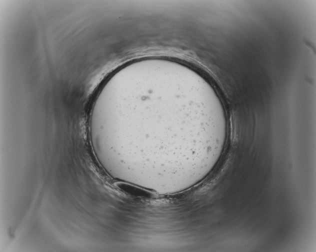 X0000102381501200808221750