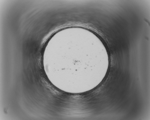 X0000102381502200808221750