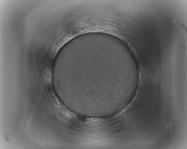 X0000102381505200808221750