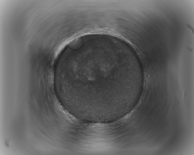 X0000102381506200808221750