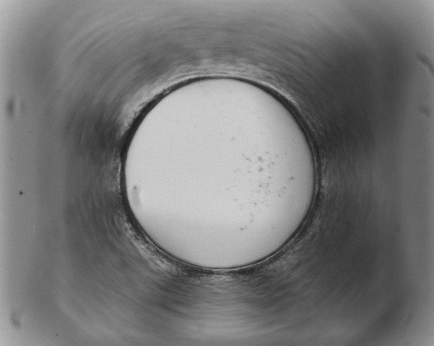 X0000102381507200808221750