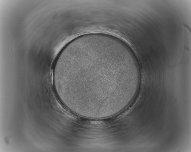 X0000102381509200808221750