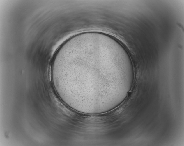 X0000102381510200808221750