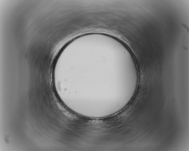 X0000102381511200808221750