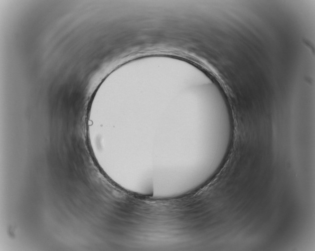 X0000102381512200808221750