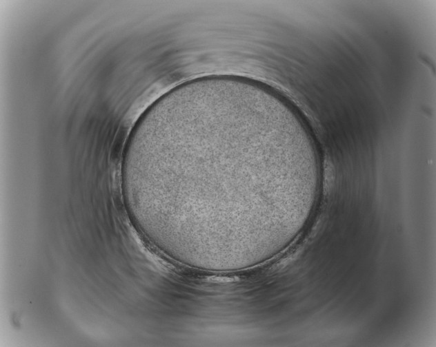 X0000102381513200808221750