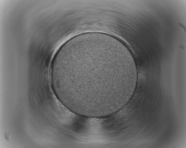 X0000102381514200808221750