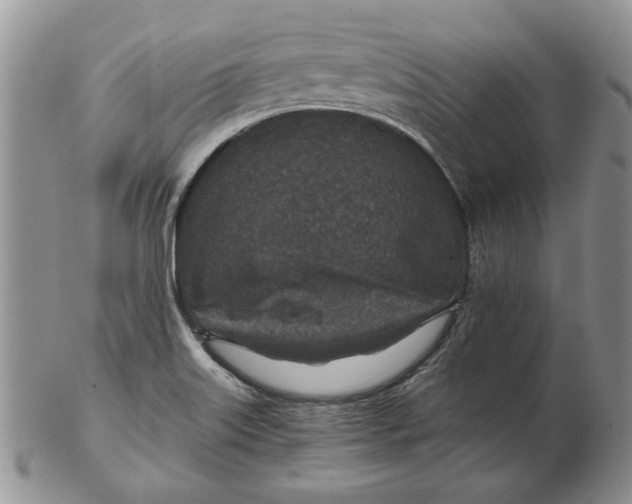 X0000102381515200808221750