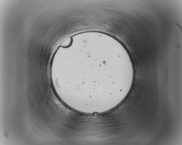 X0000102381516200808221750