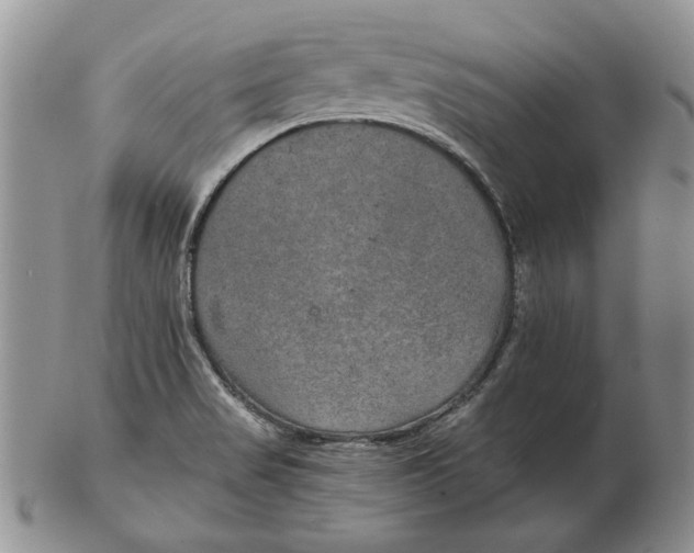 X0000102381517200808221750