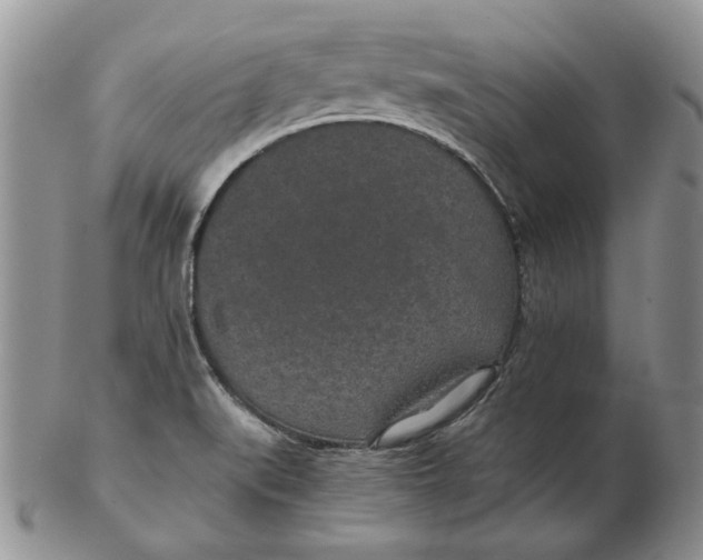 X0000102381519200808221750