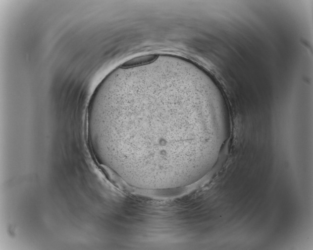 X0000102381520200808221750