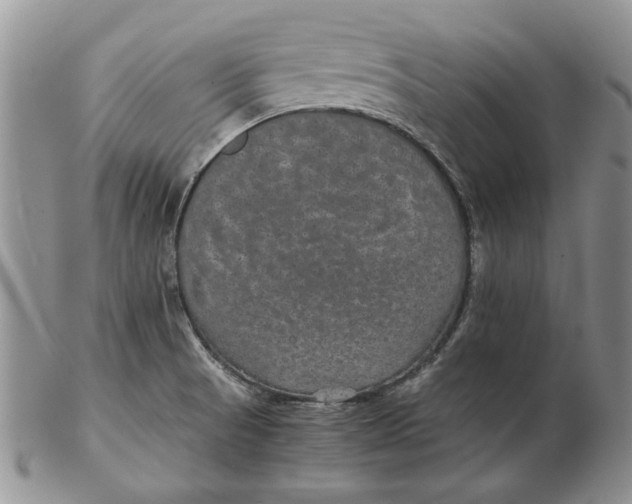 X0000102381521200808221750