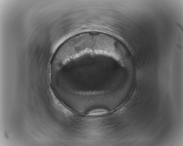 X0000102381522200808221750