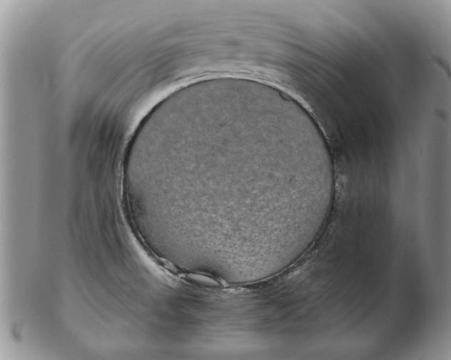 X0000102381523200808221750