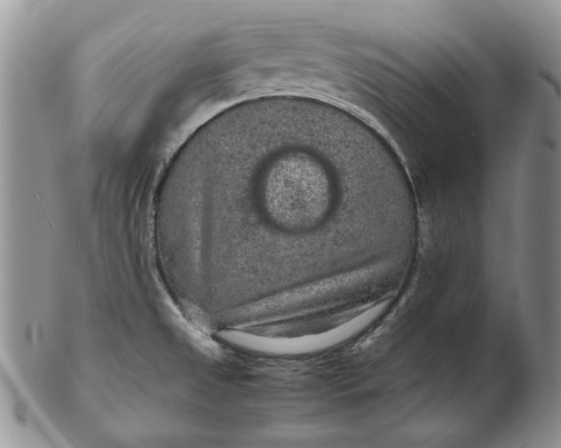 X0000102381525200808221750