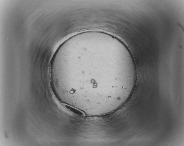 X0000102381526200808221750