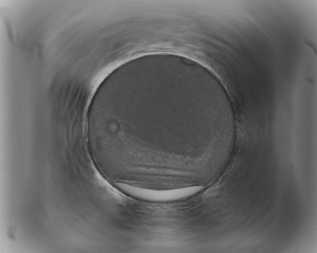 X0000102381527200808221750