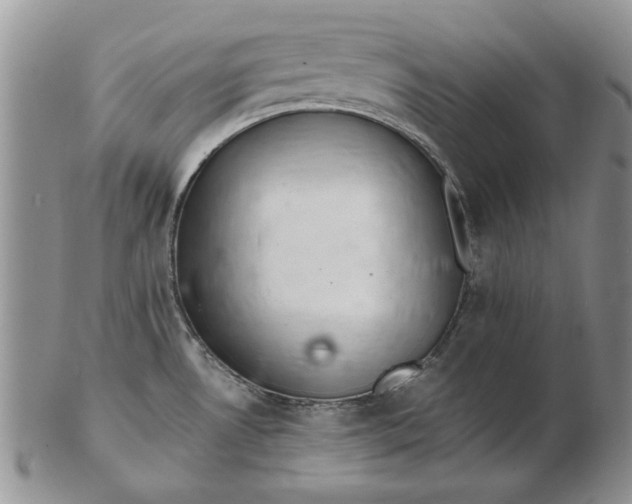 X0000102381530200808221751