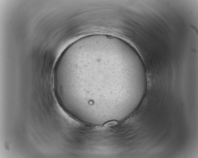 X0000102381531200808221751