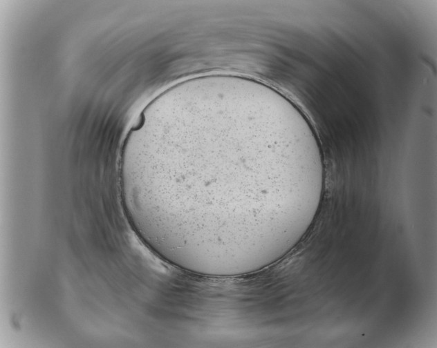 X0000102381532200808221751