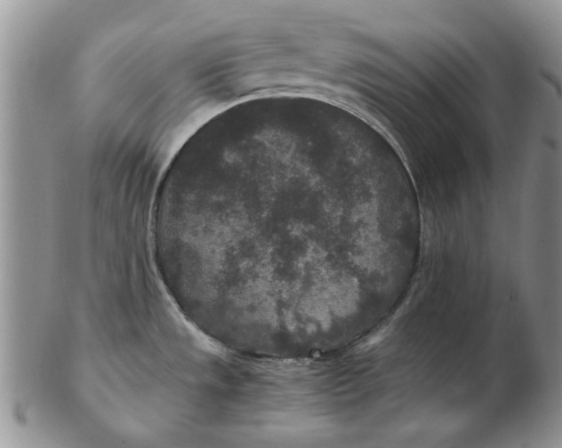 X0000102381533200808221751