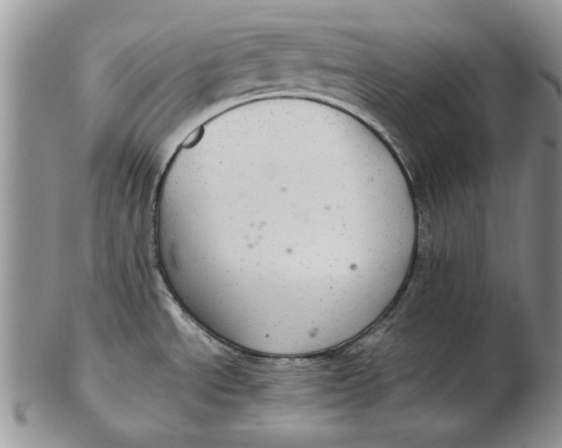 X0000102381534200808221751