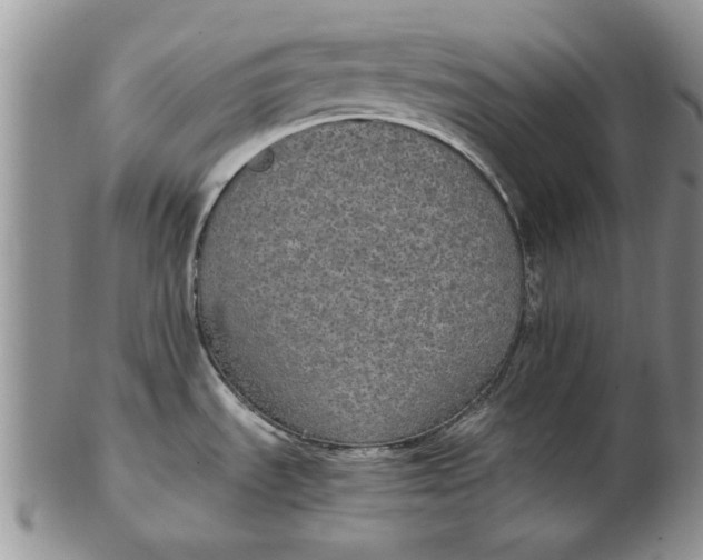 X0000102381535200808221751