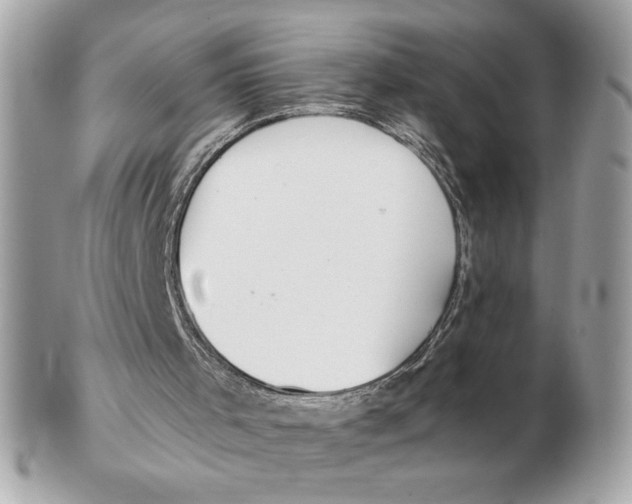 X0000102380001200808291412