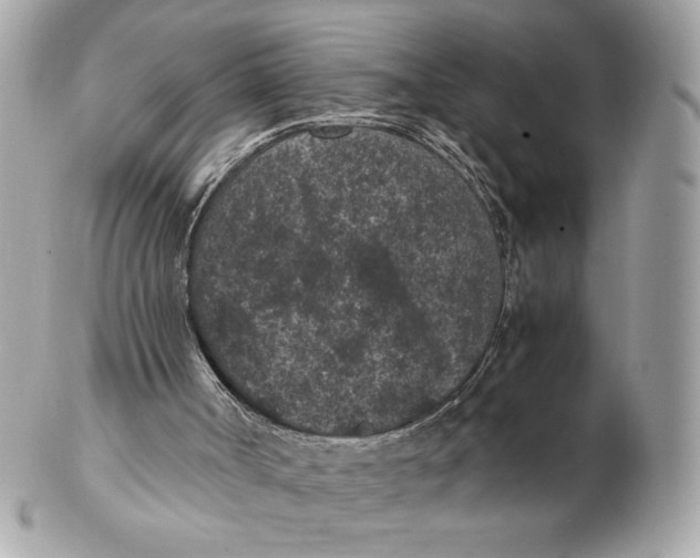 X0000102380002200808291411