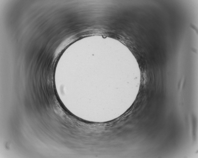 X0000102380004200808291411