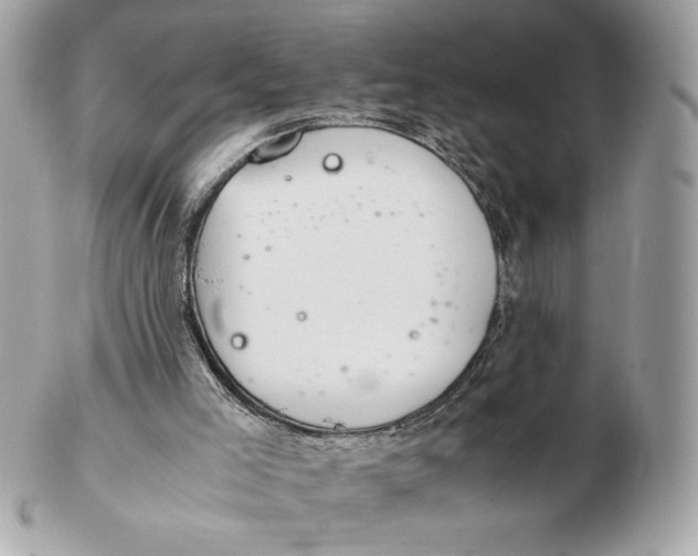 X0000102380005200808291411