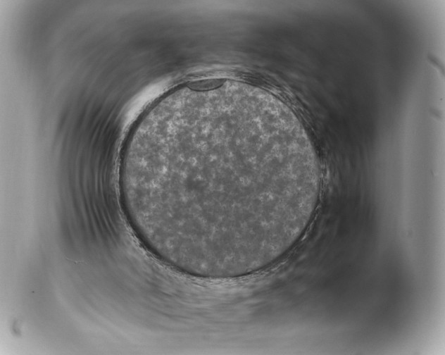 X0000102380006200808291411