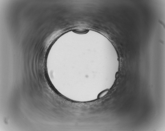 X0000102380007200808291411