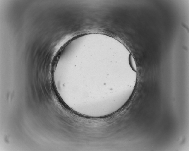 X0000102380008200808291411