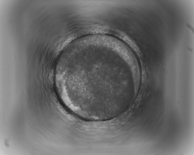 X0000102380009200808291411