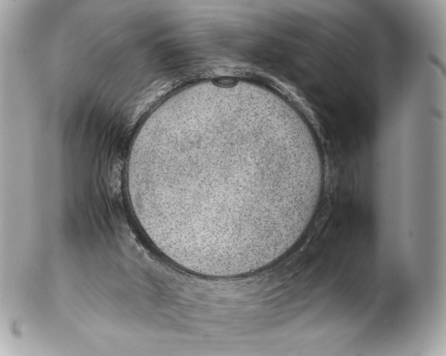 X0000102380010200808291411