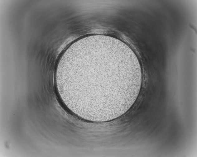 X0000102380011200808291411