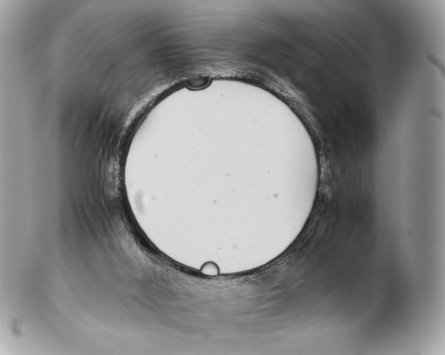 X0000102380012200808291411