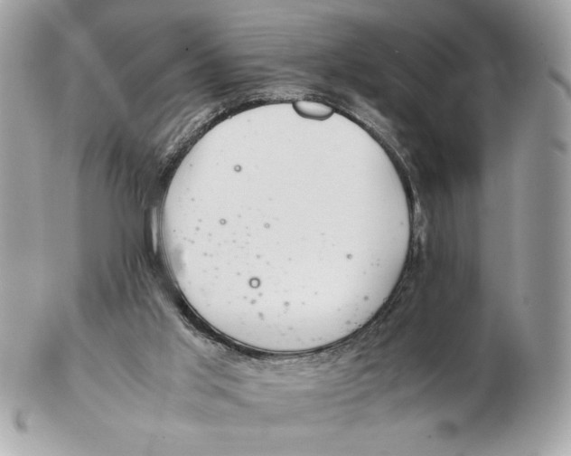 X0000102380013200808291411