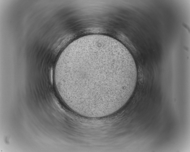 X0000102380014200808291411