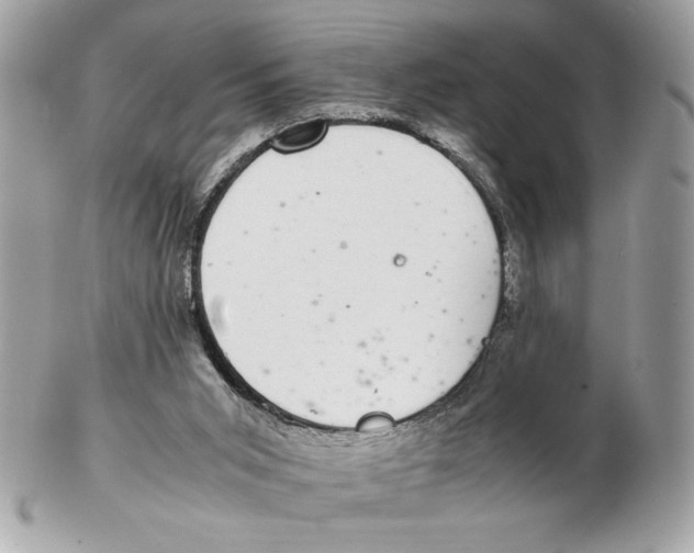 X0000102380015200808291411